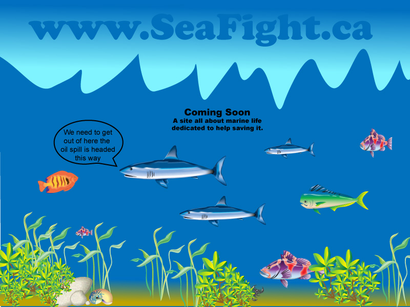 seafight